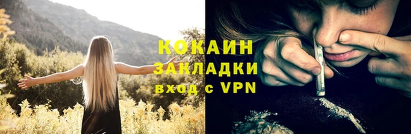 шишки Армянск