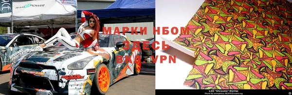 шишки Армянск