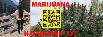 трава Шахты