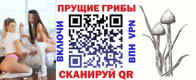 Псилоцибиновые грибы MAGIC MUSHROOMS Новодвинск