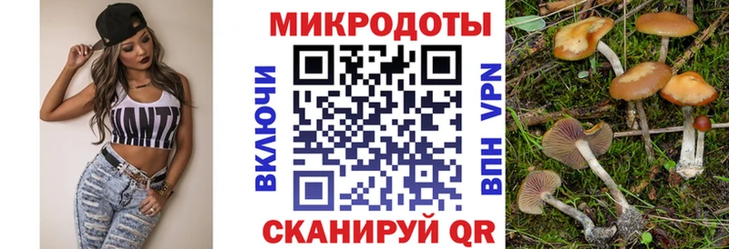 МЕГА как войти Новодвинск Галлюциногенные грибы GOLDEN TEACHER сколько стоит