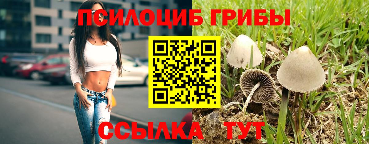Галлюциногенные грибы MAGIC MUSHROOMS Новодвинск