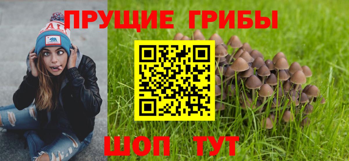 Галлюциногенные грибы Cubensis  Вход с VPN  Новодвинск 