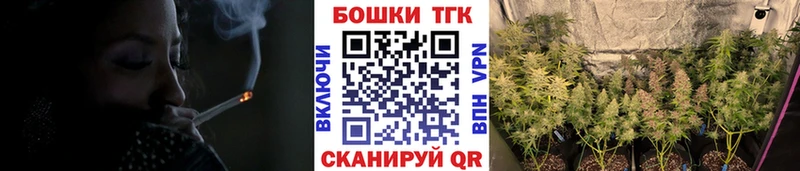Конопля OG Kush  как найти   Новодвинск 